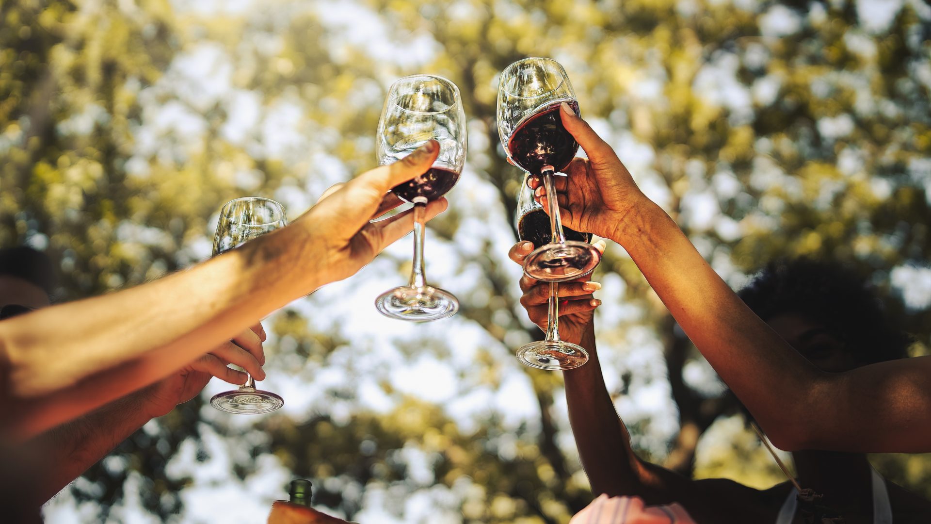wine