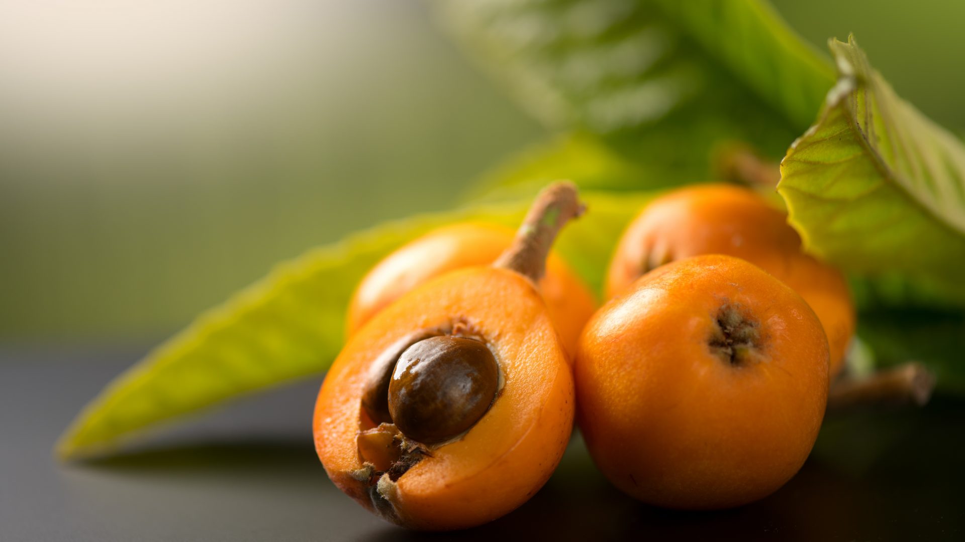 medlars